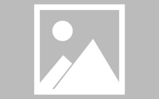 辽宁制作网站发布信息（网站如何发布信息）